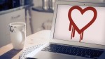 %name Heartbleed showed us how SHOCKINGLY lazy people are with their passwords by Authcom, Nova Scotia\s Internet and Computing Solutions Provider in Kentville, Annapolis Valley
